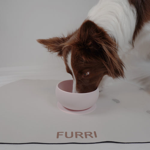 Pet Food Mat