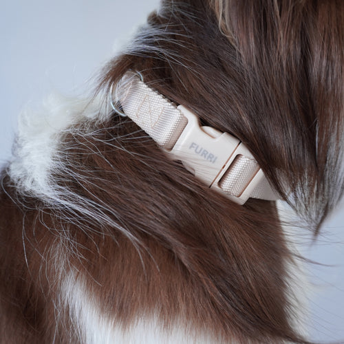 The One Collar